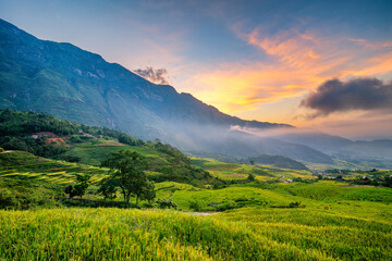 Terraced rice fields in Y ty, Sapa, Laocai, Vietnam prepare the harvest