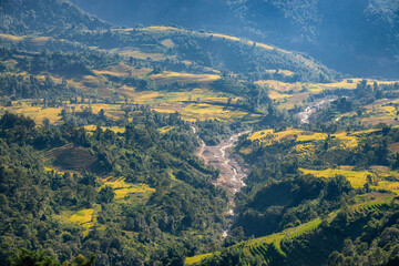Fototapeta premium Terraced rice fields in Y ty, Sapa, Laocai, Vietnam prepare the harvest