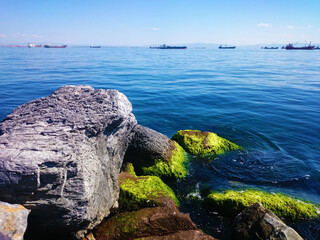 beautiful, colorful mosses and stones on the sea
