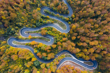 Aerial view of road in beautiful autumn forest at sunset.