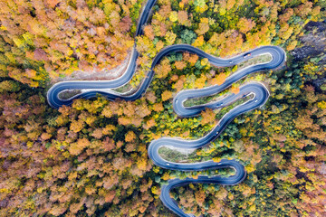 Aerial view of road in beautiful autumn forest at sunset.