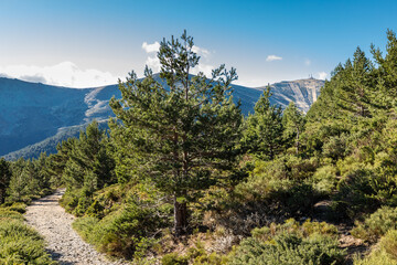 landscapes of the mountains of Madrid in the Guadarrama national park
