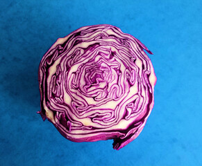 purple cabbage on the blue background