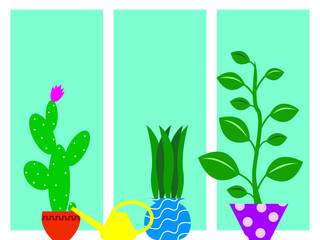 Fototapeta na wymiar Three indoor plants in flower pots and a yellow watering can on the windowsill against the background of the window close up and space for copying