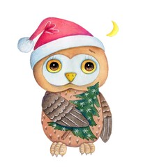 Cute cartoon owls in winter caps. Watercolor hand drawn art, illustration, isolated on white background.