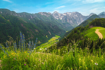 Logarska Dolina valley view from the flowery slopes, Slovenia © janoka82