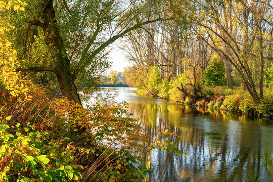 Die Sieg kurz vor der M&uuml;ndung in den Rhein im Herbst