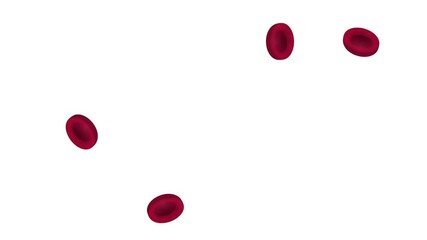 Erythrocytes. Animation of red blood cells, alpha channel enabled. Cartoon
