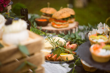 Relaxed outdoor garden party. Buffet table with organic tapas. Fresh baguette bread and tomato.