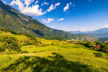 Fototapeta premium Terraced rice fields in Y ty, Sapa, Laocai, Vietnam prepare the harvest