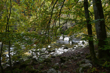 Les gorges de l'Areuse 16