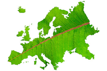 Map of Europe in green leaf texture on a white isolated background. Ecology, climate concept, 3d illustration