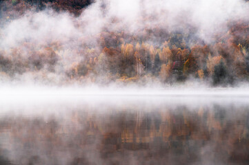 Beautiful autumn colors in fog at Poiana Marului,Caras-severin,Romania