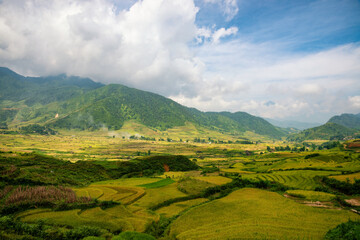 Terraced rice fields in Y ty, Sapa, Laocai, Vietnam prepare the harvest