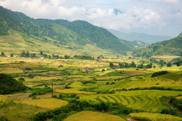 Obraz premium Terraced rice fields in Y ty, Sapa, Laocai, Vietnam prepare the harvest