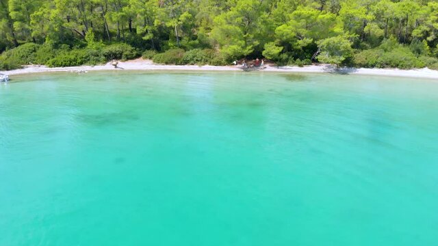 Aerial nature landscape of secret bay of Aegean Sea where green and blue meets. Pure nature with incredible clear green waters on a summer day in Didim, Turkey