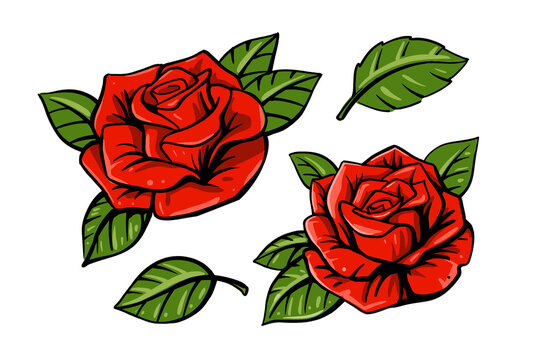 red rose set on white background with leaf