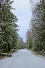 View of the snowy road in the forest.