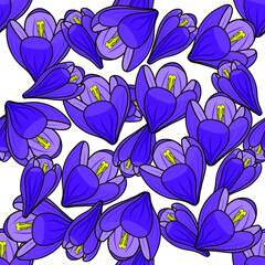 the pattern of flowers of Crocus is filled with large buds, flower story