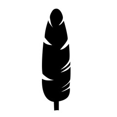 Musa banana black silhouette palm leaf. vector icon