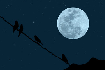 Full moon with silhouette birds on electric wires in the night.
