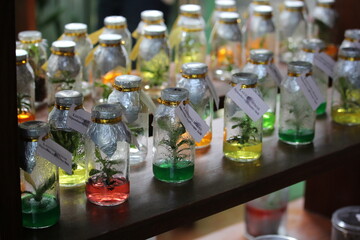 씨앗 병(Seeds in bottle)