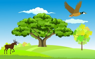 Vector illustration of wildlife landscape , big tree and deer under it, duck fly, vector