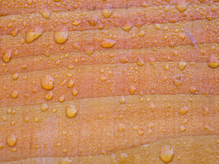 Close up with rain drops on a wooden surface or bench.