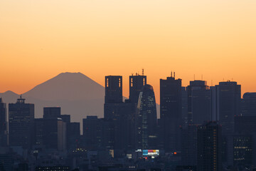 夕焼けに染まる富士山と新宿のビル群