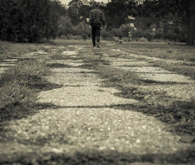 Rear view of a man walking on an alley in the park.