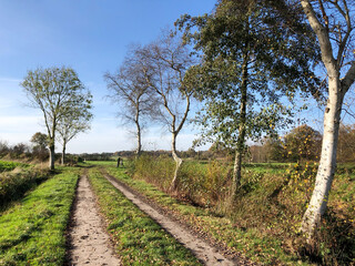 Fototapeta na wymiar hike on a lonely path in a rural landscape in autumn