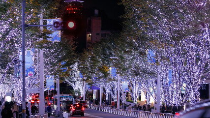 青、白のランプが輝くクリスマスのライトアップ