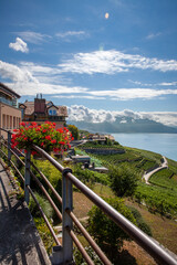 Paysage entre lac et montagnes, vignoble en terrasses du Lavaux, Suisse