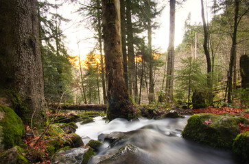 Zwerichbacher Wasserfall