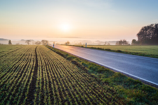 Luxembourgish rural road near field during sunrise with fog in the valley below