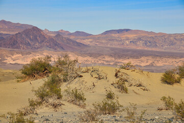 Fototapeta na wymiar Sand dunes in the famous Death Valley National Park, California