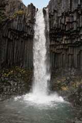 Fototapeta na wymiar Basalt columns at Svartifoss Waterfall - Iceland