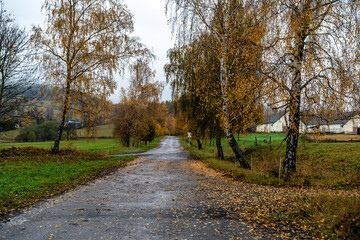 Fototapeta na wymiar road in the countryside in autumn