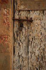 Old wooden door in holes. Door wounded by worms