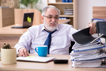 Old male employee working in the office