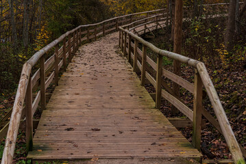 nature trail in autumn with wooden bridge