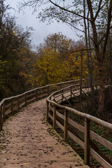 Fototapeta premium nature trail in autumn with wooden bridge