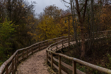 Fototapeta premium nature trail in autumn with wooden bridge