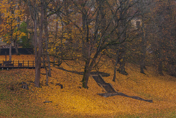 the stairs are surrounded by autumn yellow colors