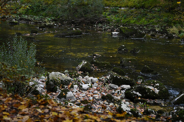 Gorges de l'Areuse 2