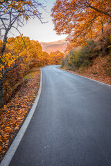 Naklejka premium Otoño en una carretera Del Valle de Genal