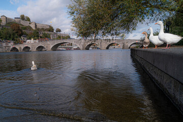 Naklejka premium La meuse, de maas, river in belgium, beautifull wallonie , belgium