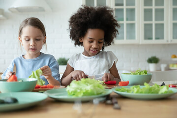 Two diverse little girls cooking salad, cutting chopping fresh vegetables together, having fun,...