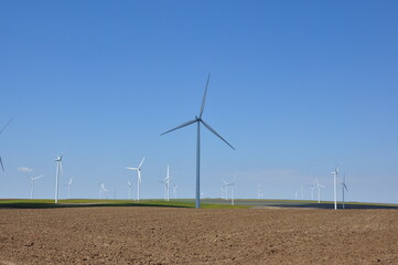 wind turbines farm