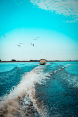 
Boat with speed on the water